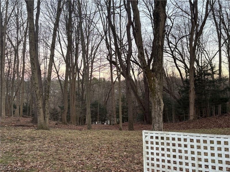 4455 Cleveland Road, Unit 20, Wooster, OH 44691 Photo 6