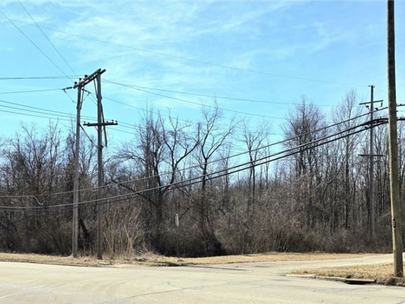 1251 Jacobs Road, Youngstown, OH 44505 Photo 1