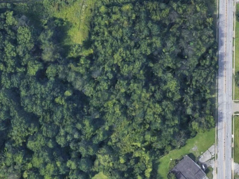 1251 Jacobs Road, Youngstown, OH 44505 Photo 6