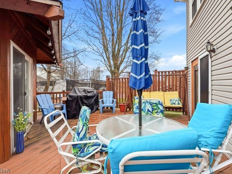 3320 Butternut Drive, Norton, OH 44203 Photo 43