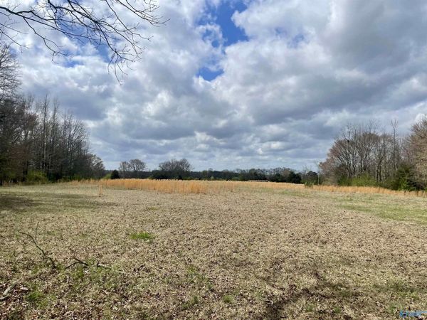 77 acres County Road 136, Town Creek, AL 35672