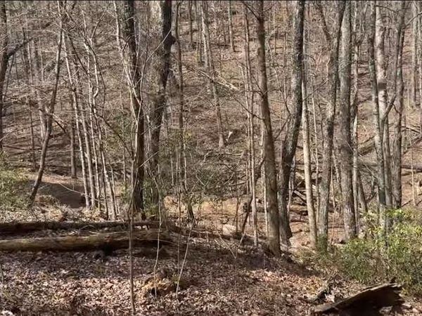 0 Valley View Drive, Jasper, GA 30143