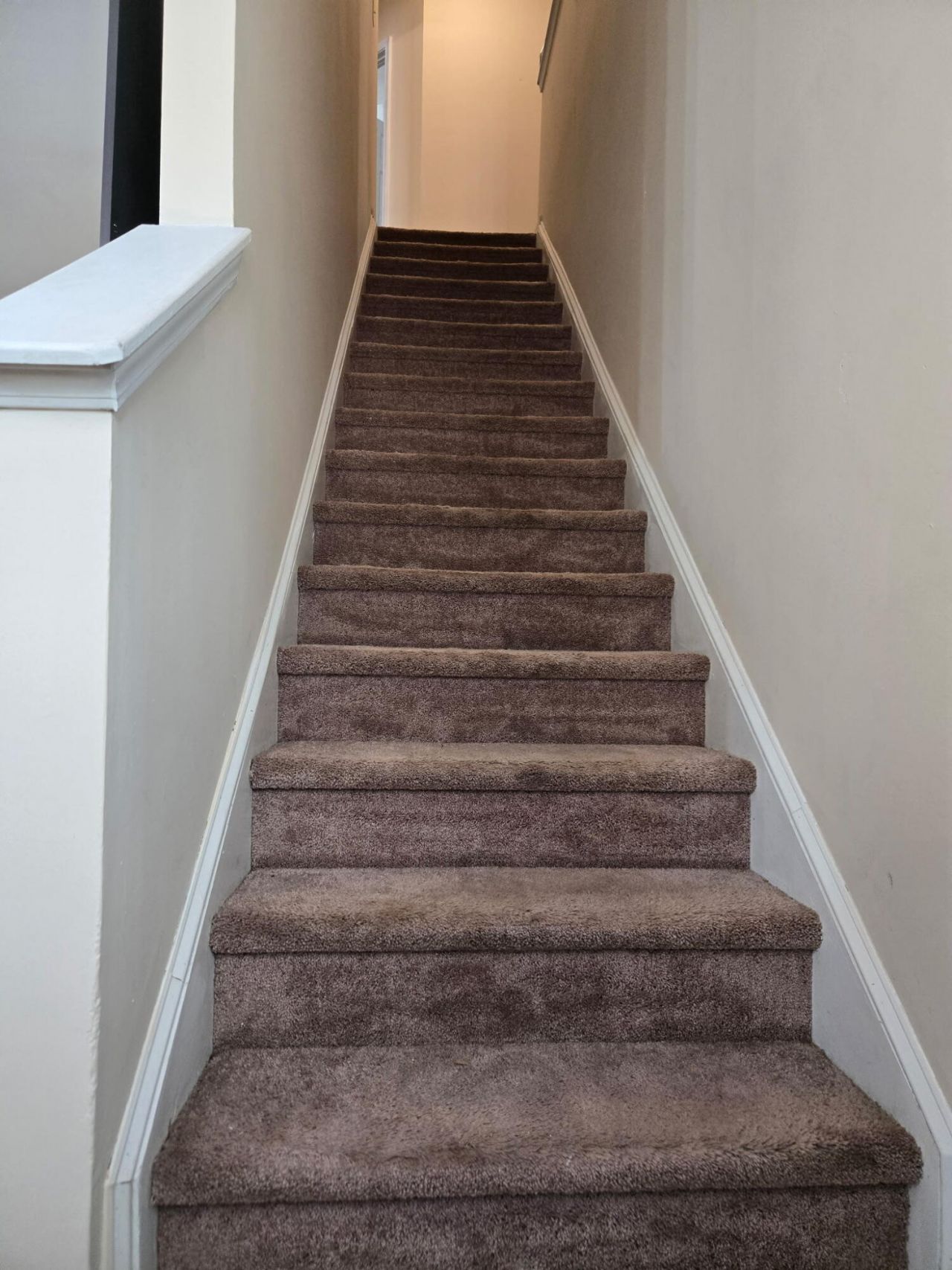 406 Stoney Field Drive Photo 6