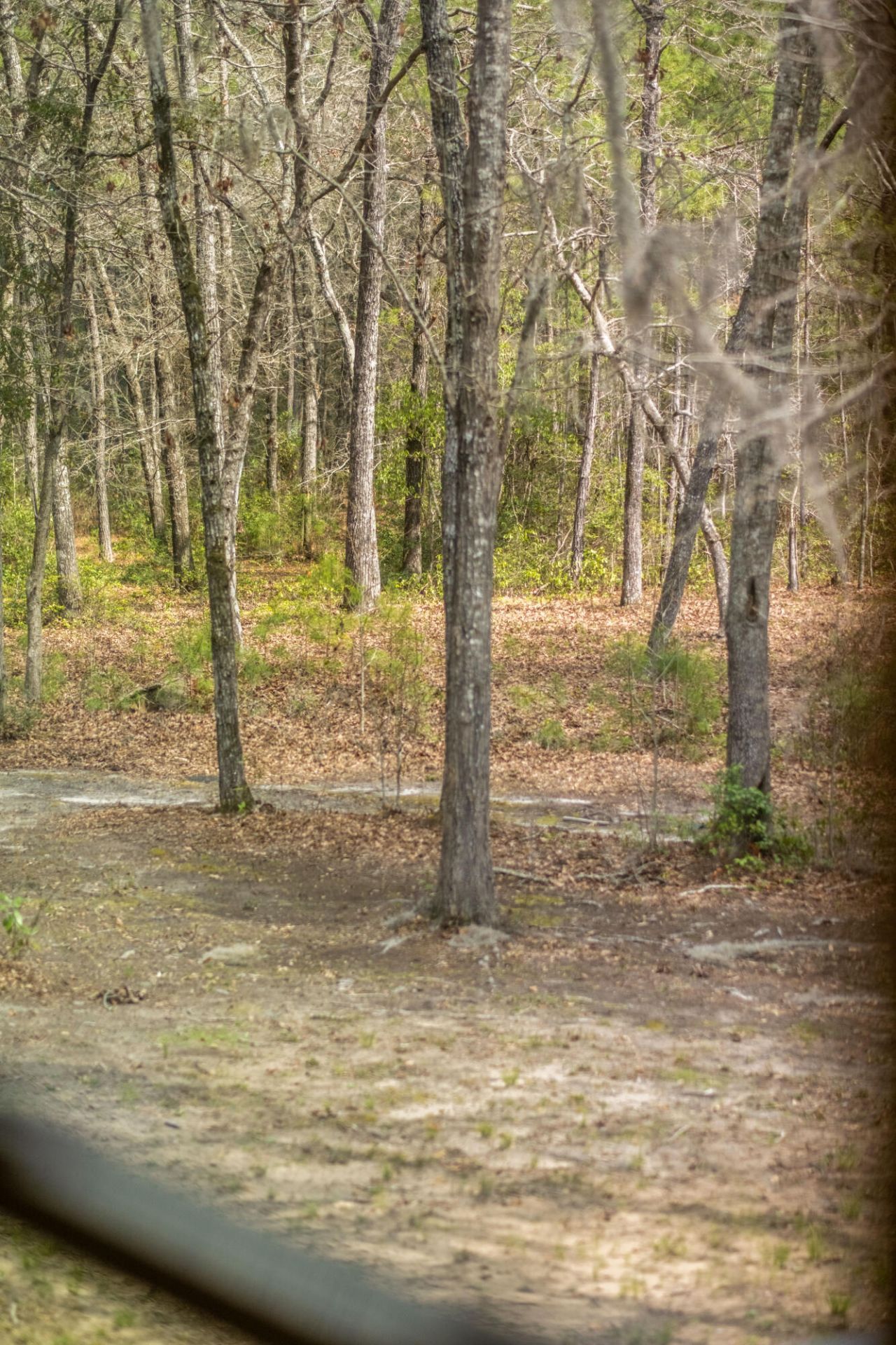 1717 Sc Hwy 45 Photo 28