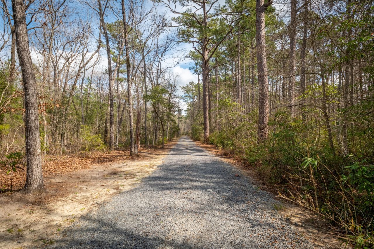 1717 Sc Hwy 45 Photo 40