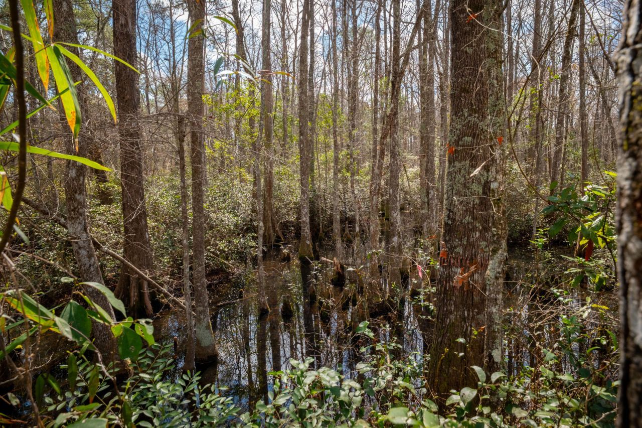 1717 Sc Hwy 45 Photo 41