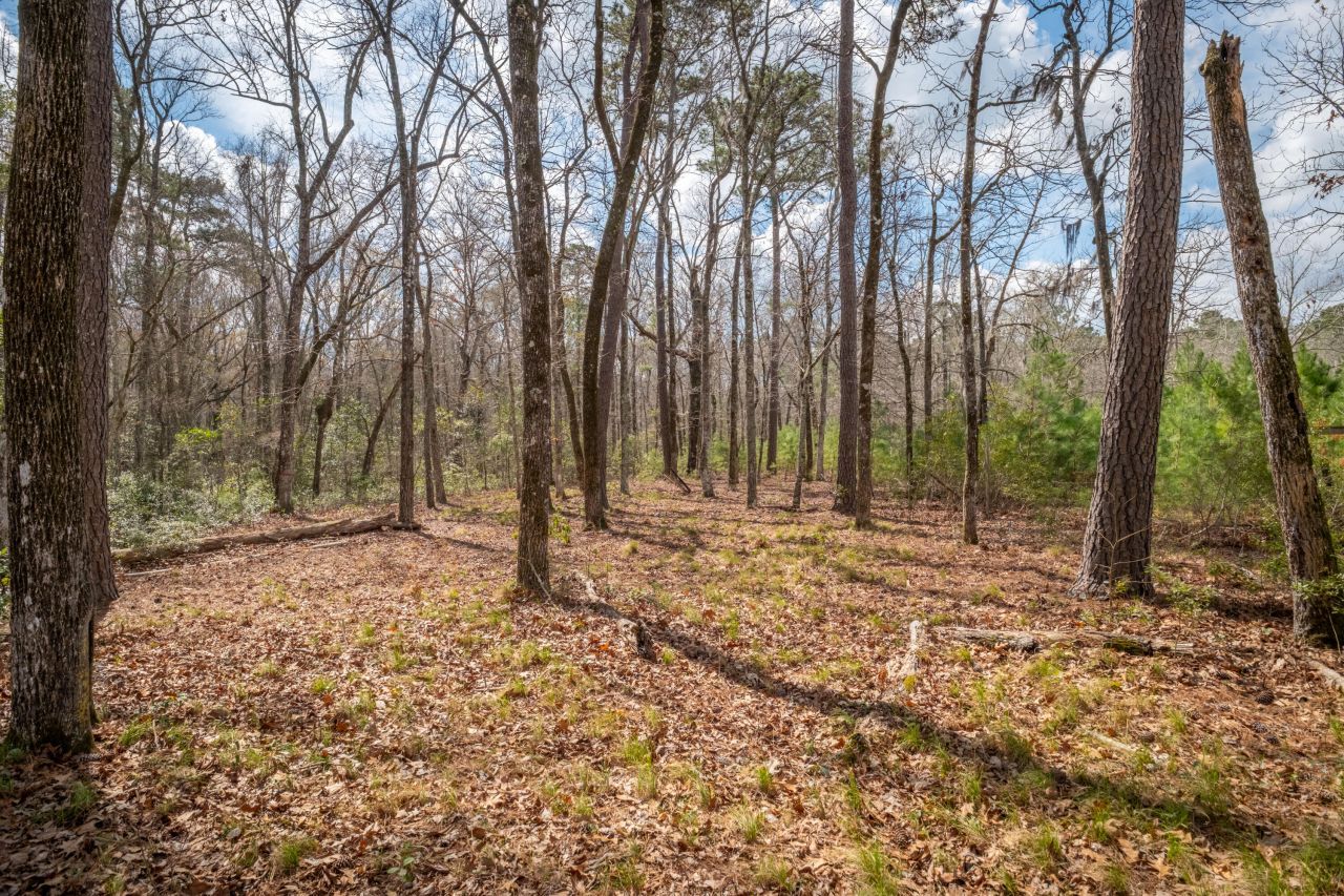 1717 Sc Hwy 45 Photo 42