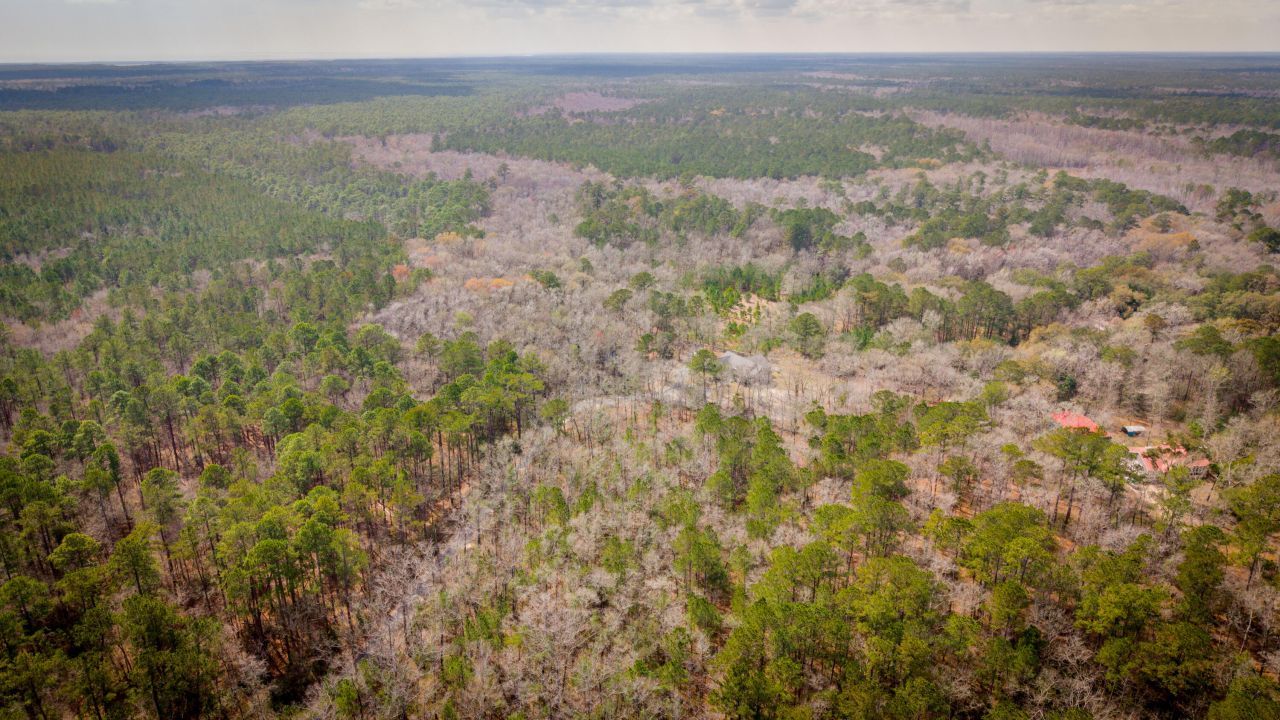 1717 Sc Hwy 45 Photo 54