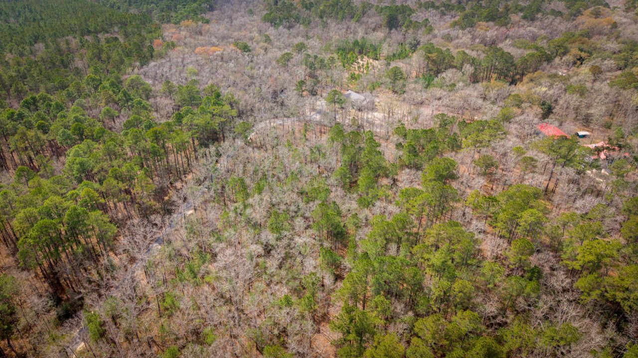 1717 Sc Hwy 45 Photo 55