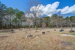 1214 Dehayville Drive photo 4