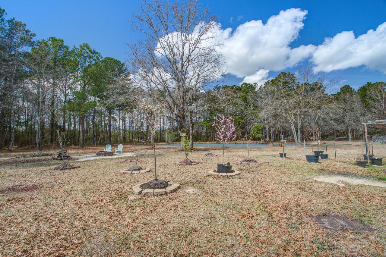 1214 Dehayville Drive Photo 4