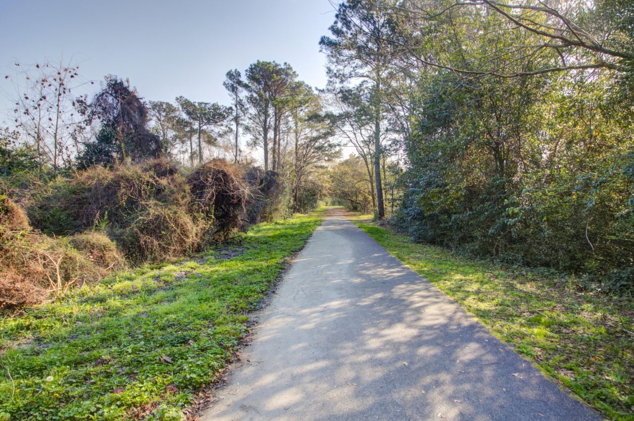 921 Hillsboro Drive Photo 43