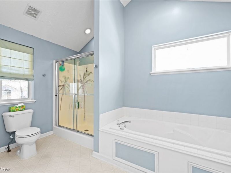 4046 Boxelder Drive, Medina, OH 44256 Photo 20