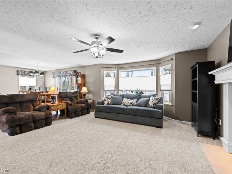 4046 Boxelder Drive, Medina, OH 44256 Photo 3