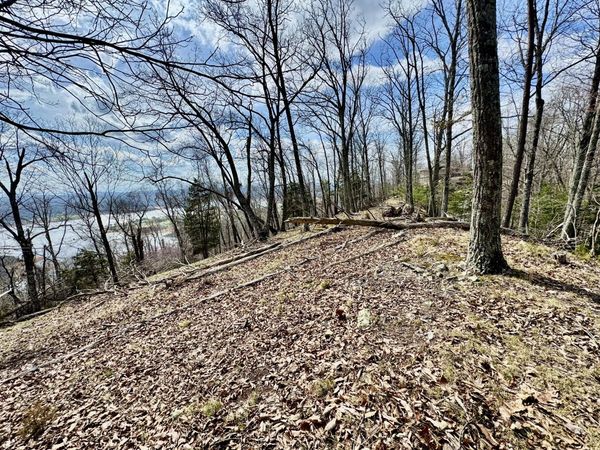 1163 Keetoowah Drive, Mooresburg, TN 37811