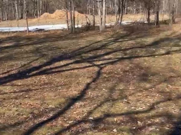 TBD Bull Road , Washingtonville, NY 10992