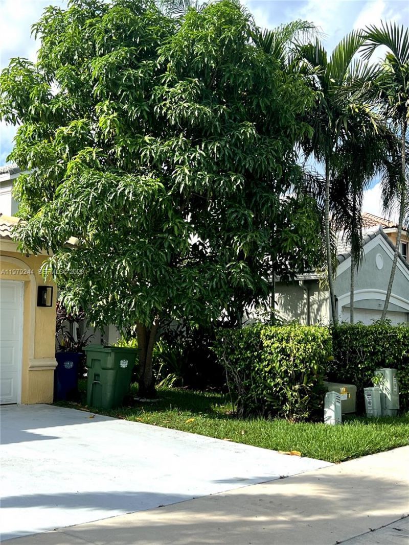 803 Vista Meadows Dr, Weston, FL 33327 Photo
