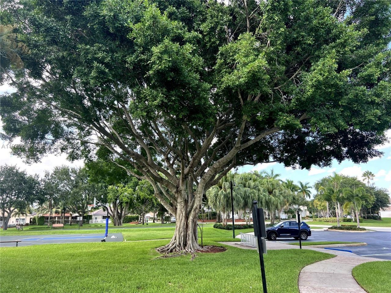 803 Vista Meadows Dr, Weston, FL 33327 Photo