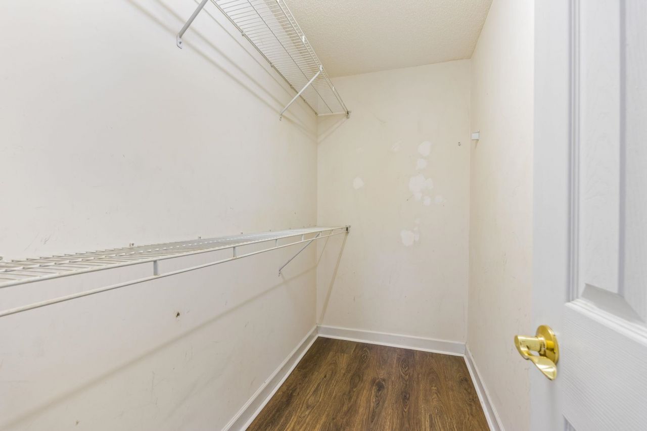 505 Whitebark St. Photo 20