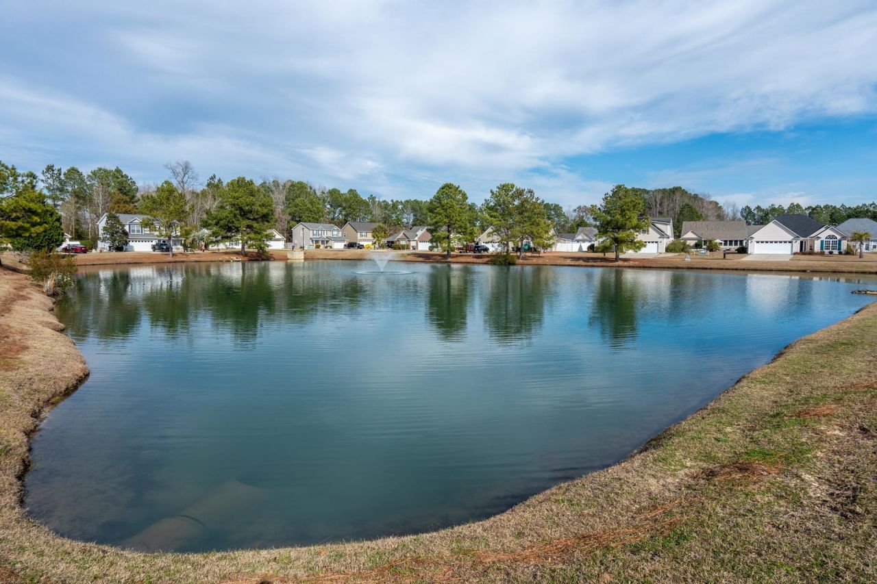 505 Whitebark St. Photo 45