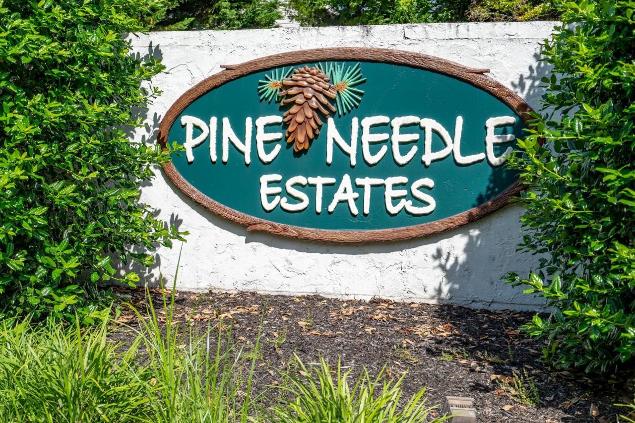 505 Whitebark St. Photo 47