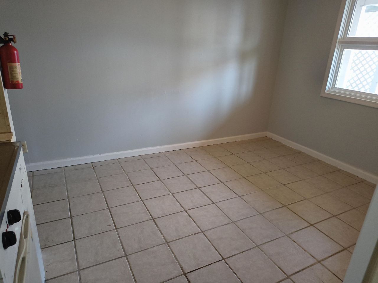 307 Flagg St. Photo 6