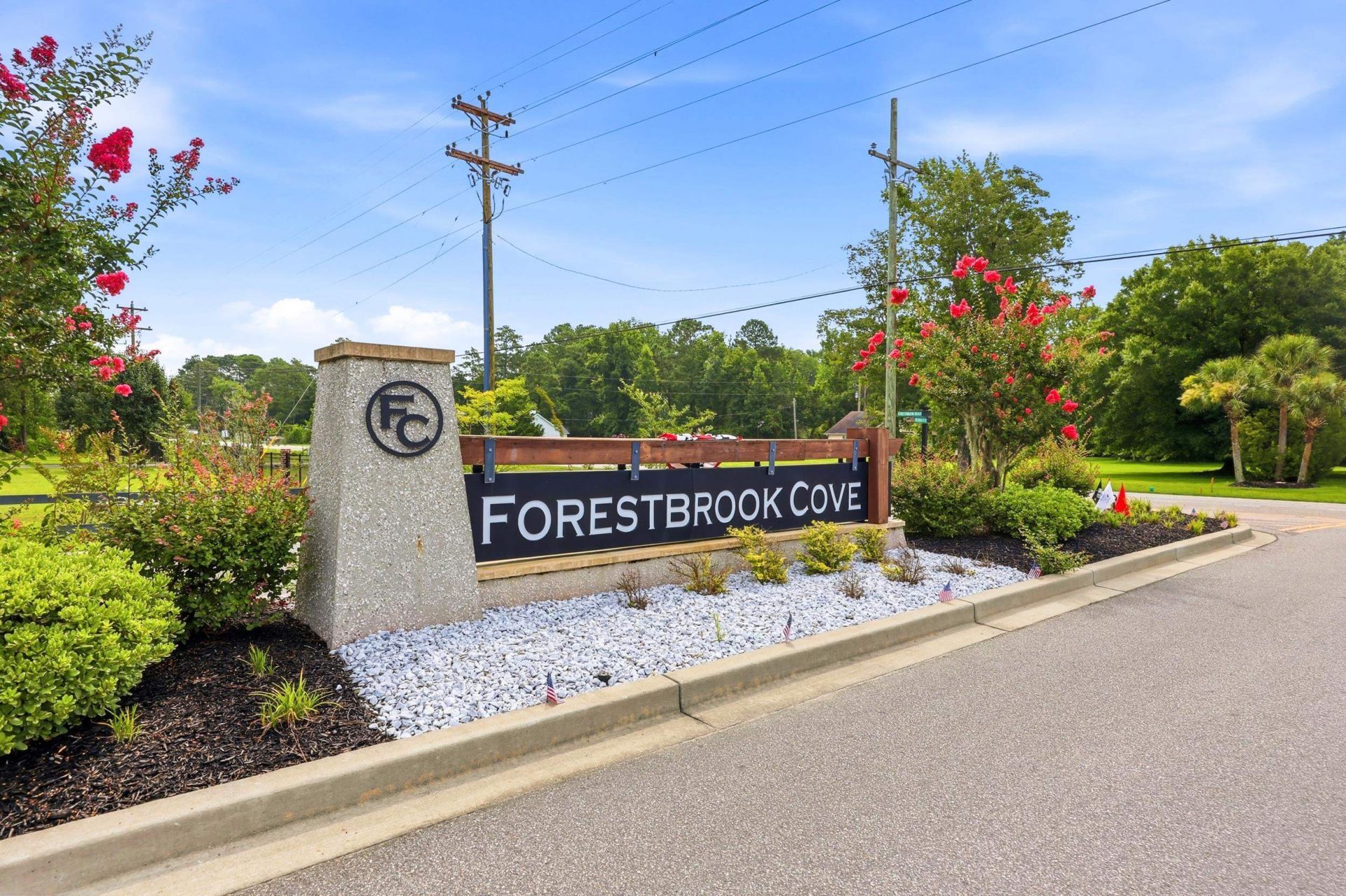 317 Forestbrook Cove Circle Photo 40