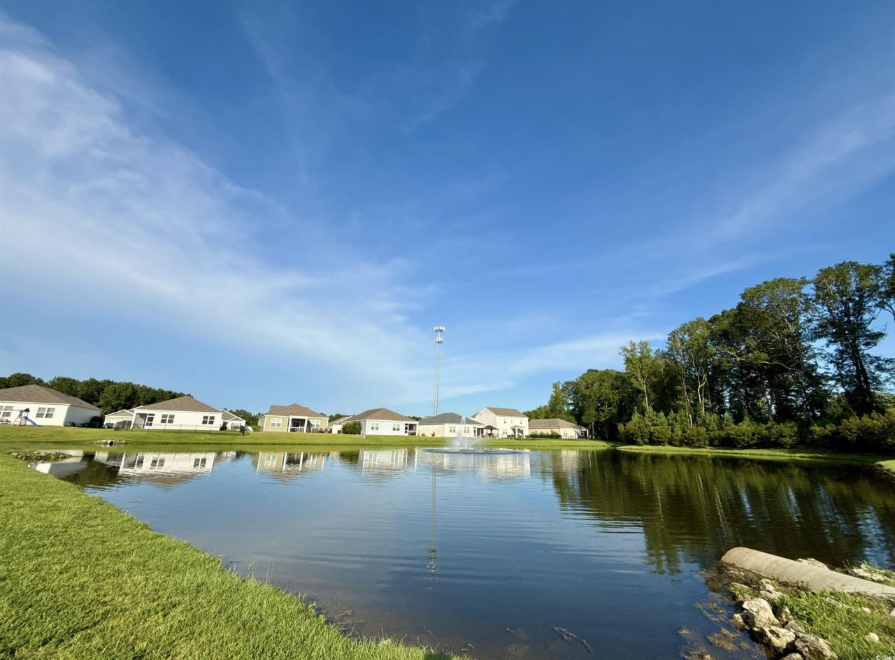 317 Forestbrook Cove Circle  Photo 47