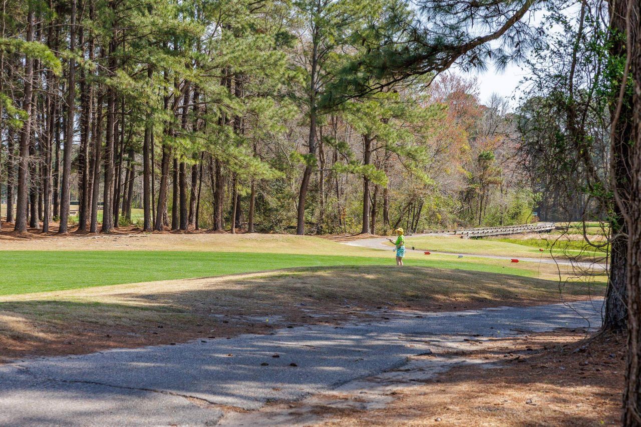 4177 Charleston Oaks Dr Photo 47