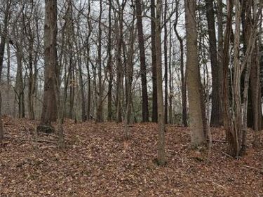 Lot 20 HIDDEN LAKE DR., MONTROSS, VA 22520