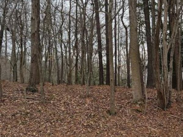 Lot 20 HIDDEN LAKE DR., MONTROSS, VA 22520