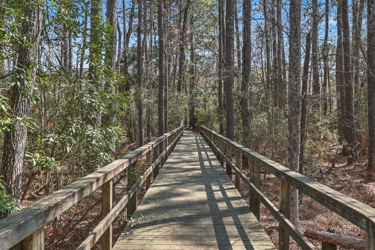 3616 Billings Street Photo 62