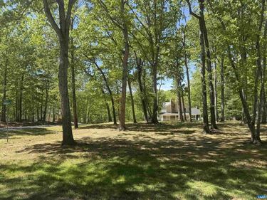 0 NIBLICK LN, Unit 311, PALMYRA, VA 22963