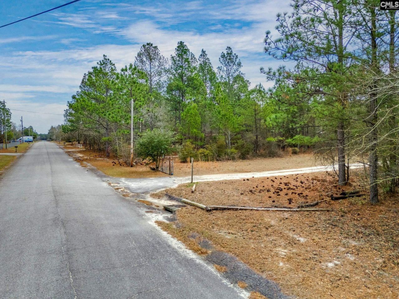 219 & 223 Donald Drive  Photo 10