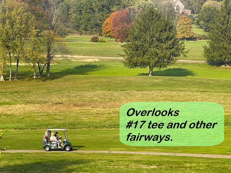 926 Fairway Drive, Howard, OH 43028 Photo 4