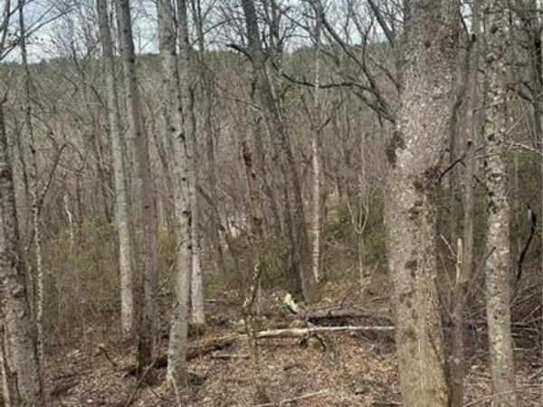 0 Mulberry Court, Jasper, GA 30143