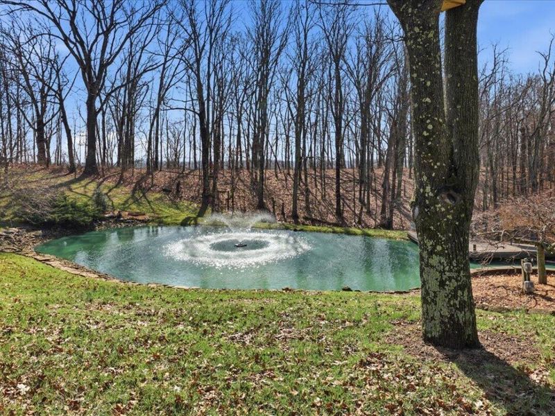 334 Mason Lane, Sparta, KY 41086 Photo 12