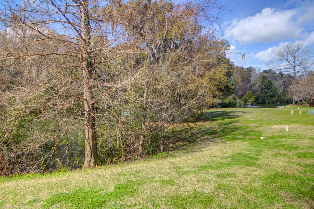 7921 Shadow Oak Drive Photo 10