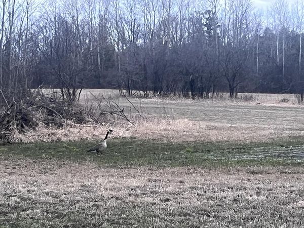 Lt2 VIRGINIA DRIVE, Manitowoc, WI 54220