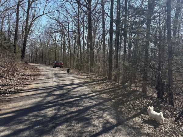 000 fawn Road, Harriet, AR 72639