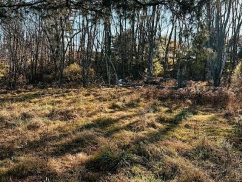 800 W Main Street, Loudonville, OH 44842 Photo 28