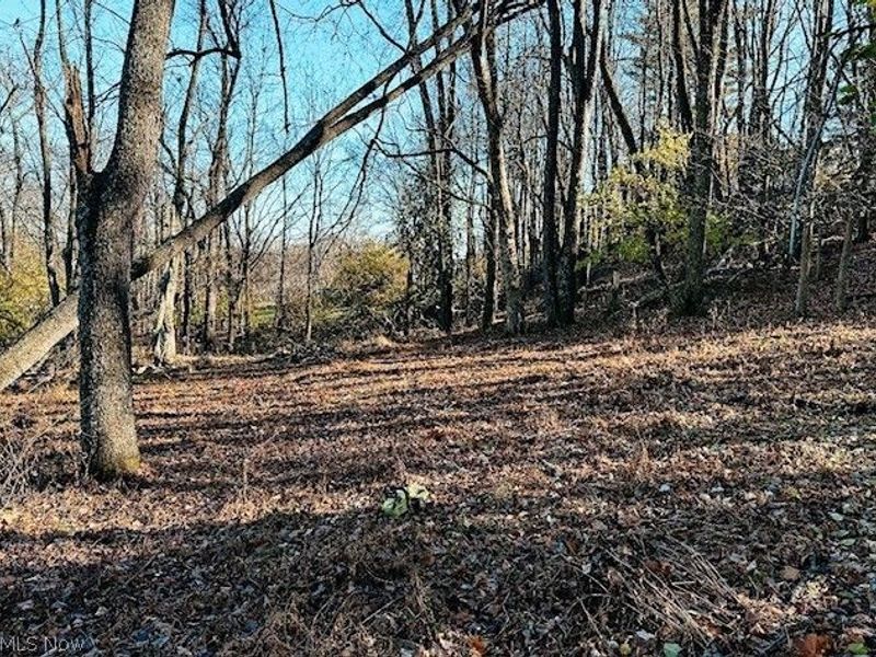 800 W Main Street, Loudonville, OH 44842 Photo 29