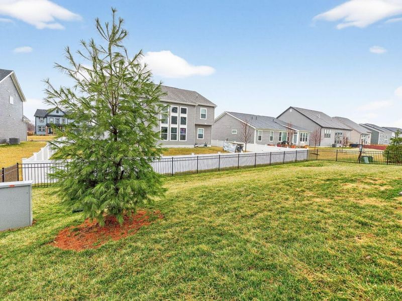 143 Cinnamon Teal Street, Pickerington, OH 43147 Photo 7
