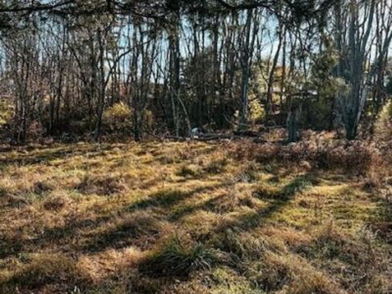 800 W Main Street, Loudonville, OH 44842 Photo 30