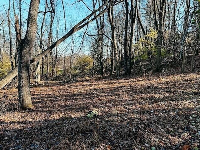 800 W Main Street, Loudonville, OH 44842 Photo 31