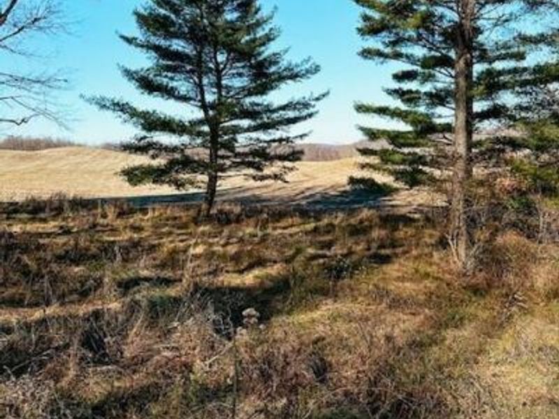 800 W Main Street, Loudonville, OH 44842 Photo 5