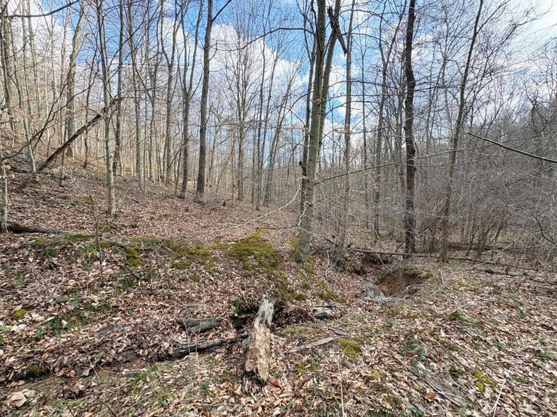 0 Township Road 134 SE, New Straitsville, OH 43766 Photo 10