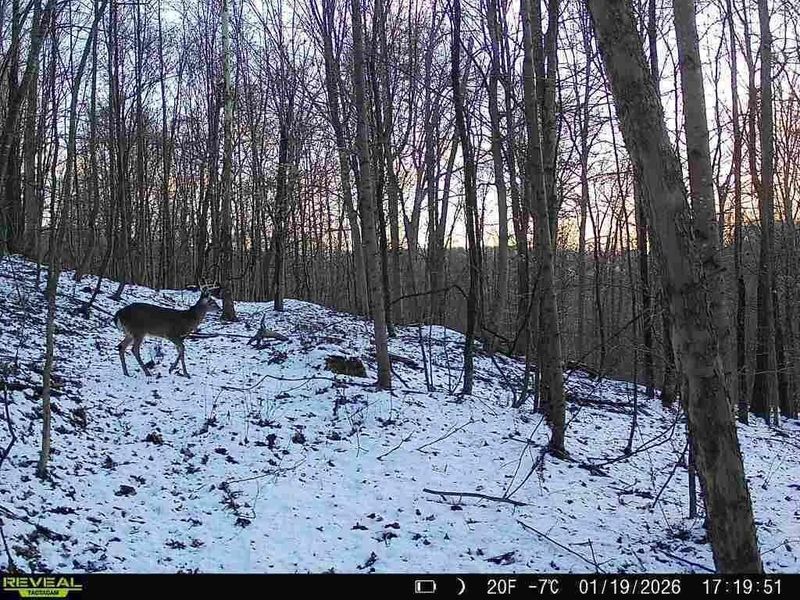 0 Township Road 134 SE, New Straitsville, OH 43766 Photo 15