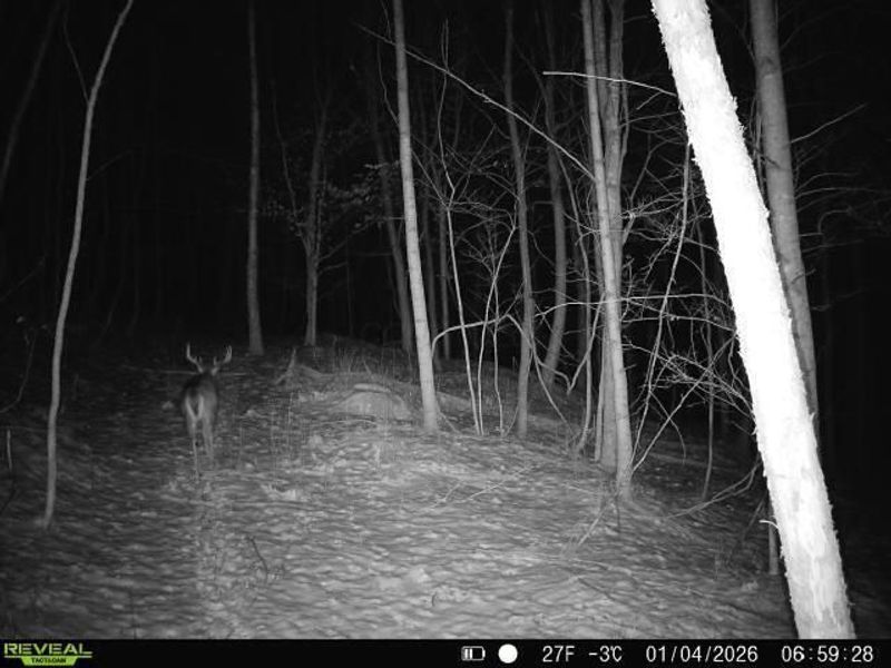 0 Township Road 134 SE, New Straitsville, OH 43766 Photo 17