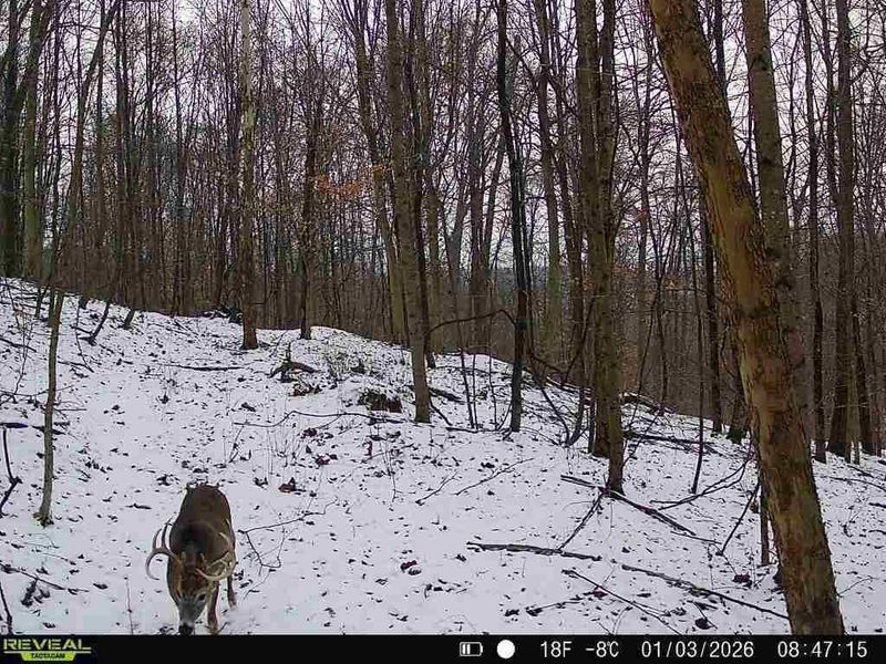 0 Township Road 134 SE, New Straitsville, OH 43766 Photo 18